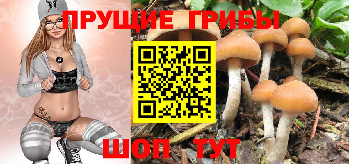 Псилоцибиновые грибы прущие грибы  Вход с VPN  Псилоцибиновые грибы мухоморы  Семёнов 